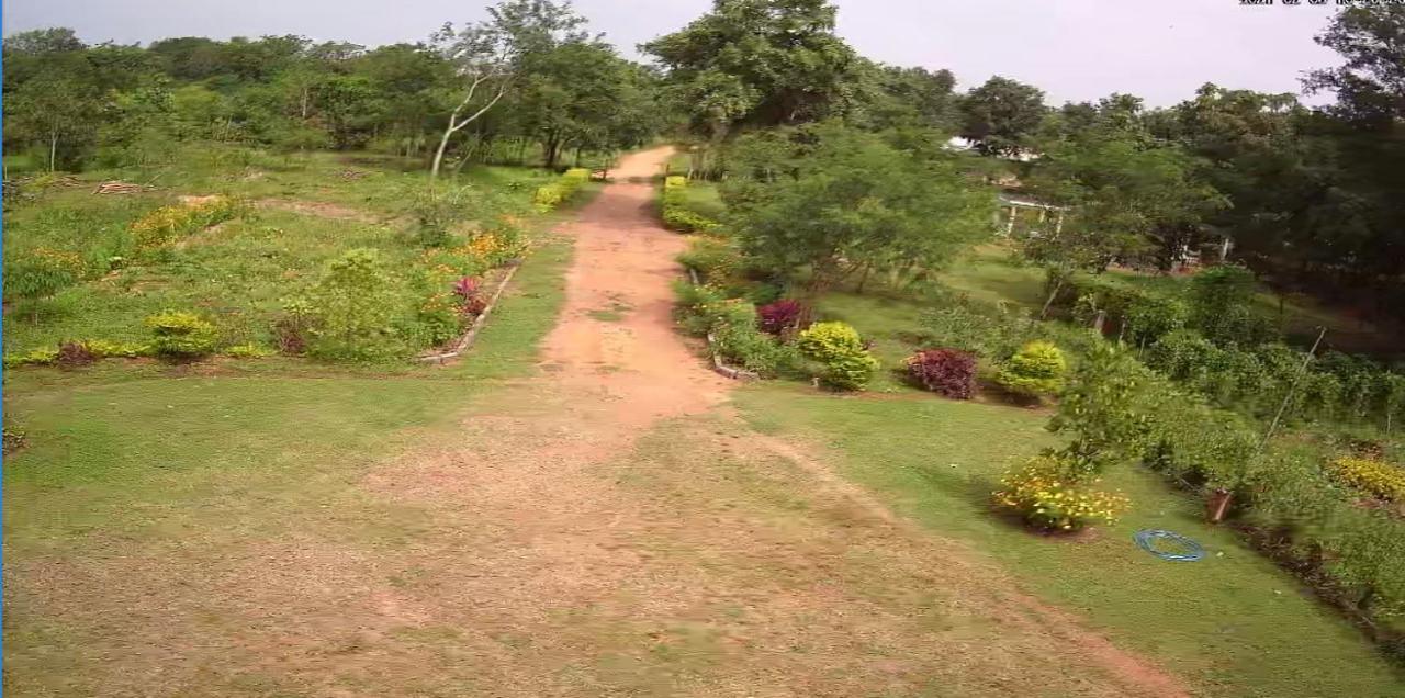 Peacock Resort Anuradhapura Eksteriør billede