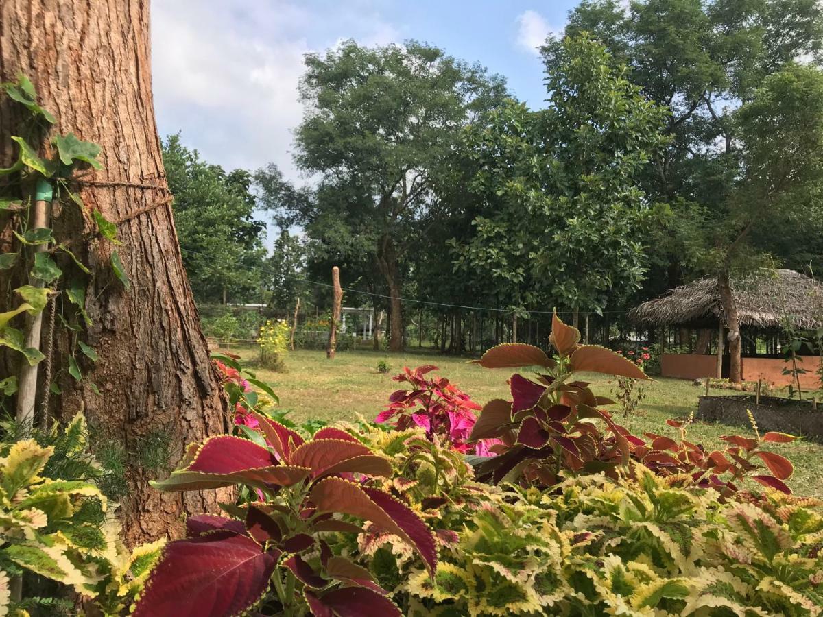 Peacock Resort Anuradhapura Eksteriør billede