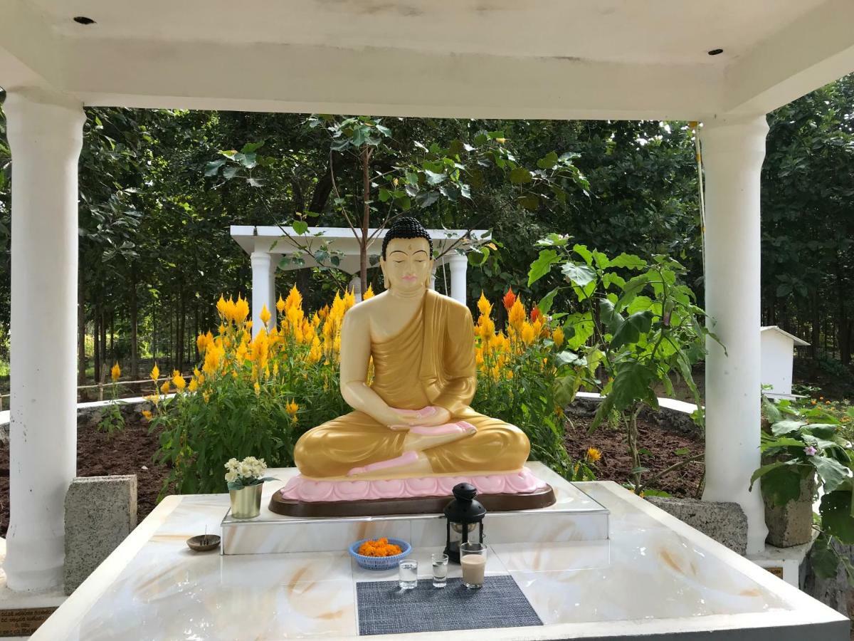 Peacock Resort Anuradhapura Eksteriør billede