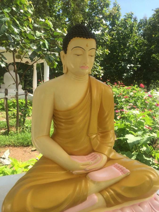 Peacock Resort Anuradhapura Eksteriør billede