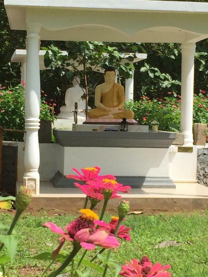 Peacock Resort Anuradhapura Eksteriør billede