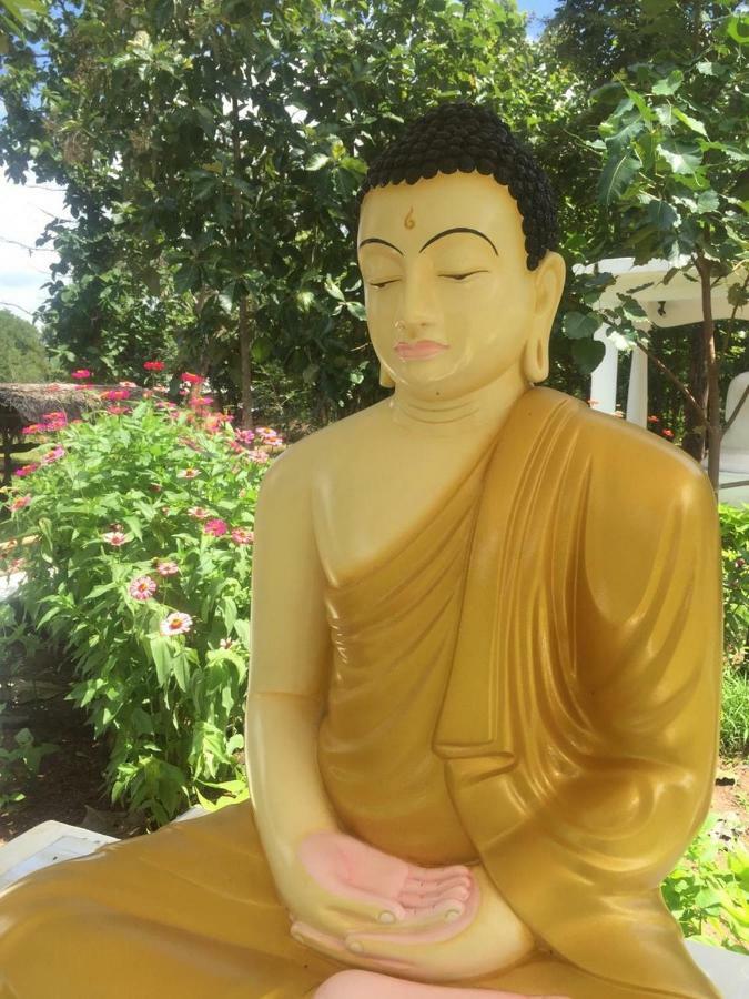 Peacock Resort Anuradhapura Eksteriør billede