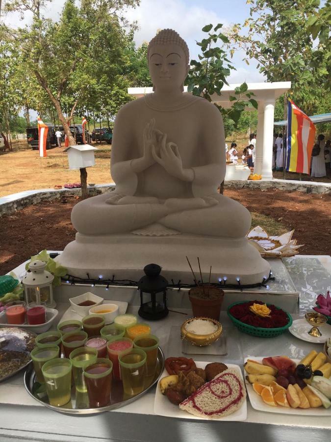 Peacock Resort Anuradhapura Eksteriør billede